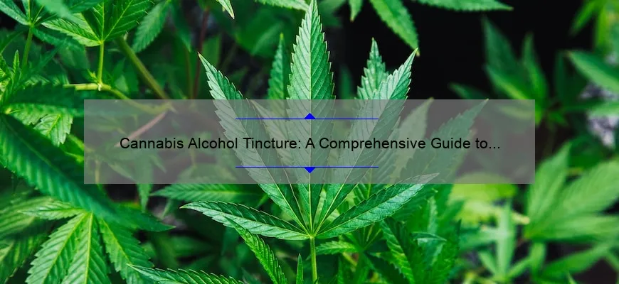 Tintura de álcool de cannabis: um guia exaustivo para uso e benefícios