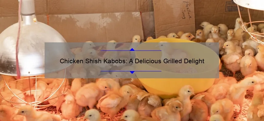 Kebabs de frango: Delicious Grill Prish