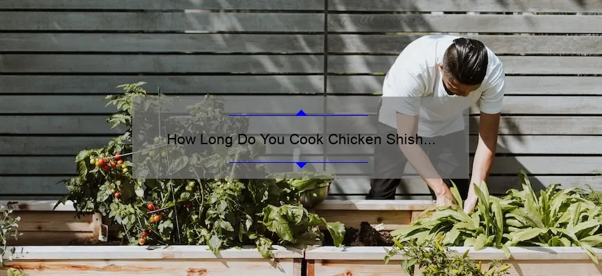 Quanto tempo você cozinha churrasco de frango?