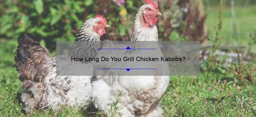 Quanto tempo você frita casacos de frango na grelha?