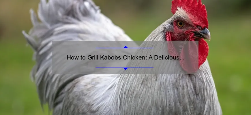 Como cozinhar frango kabobs na grelha: receita deliciosa e simples