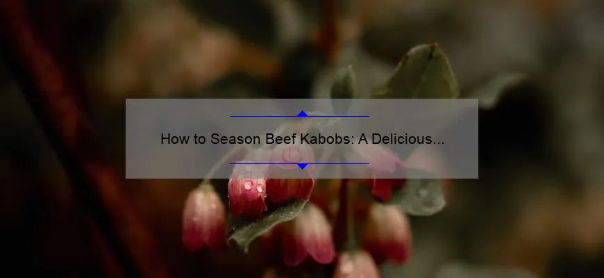 Como temperar Kabob de carne bovina: liderança deliciosa