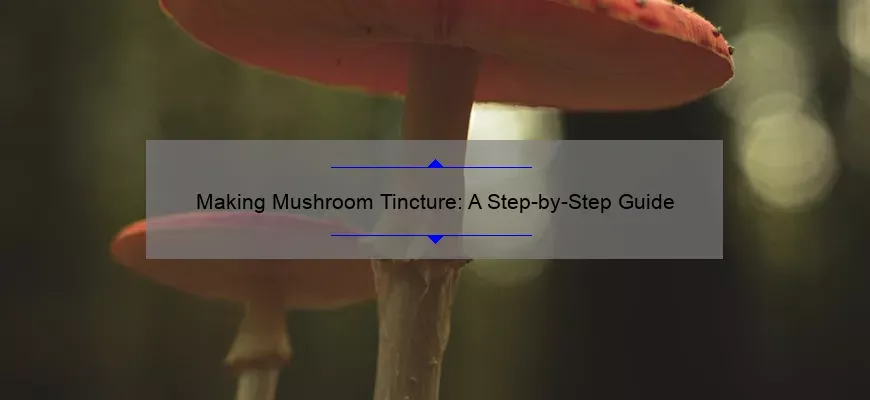 Preparação da tintura de cogumelos: etap a-guia de etapa