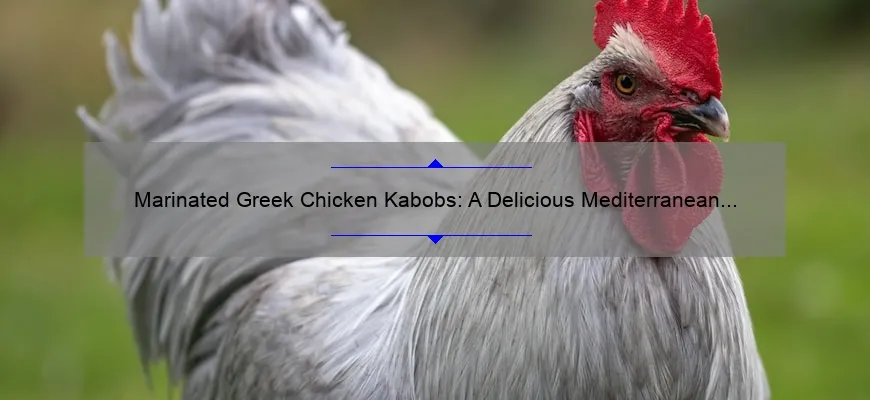 Cabines de frango em conserva em grego: uma deliciosa receita do Mediterrâneo para Grill