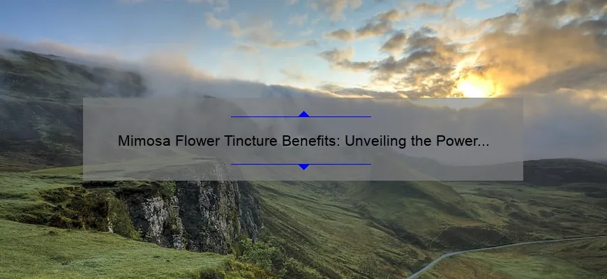 Vantagens da tintura de Mimosa Flowers: Divulgação da força da natureza