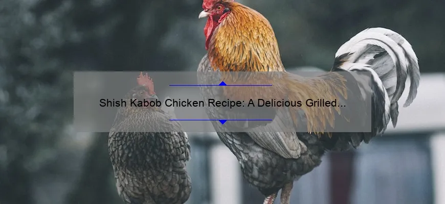 Receita de frango Shish-Kabob: Delicious Grill Dish